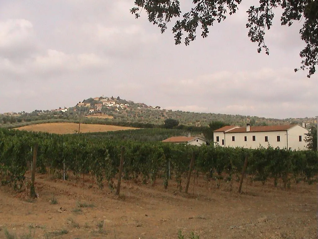 Farm stay Agriturismo Vigna Mai Magliano in Toscana